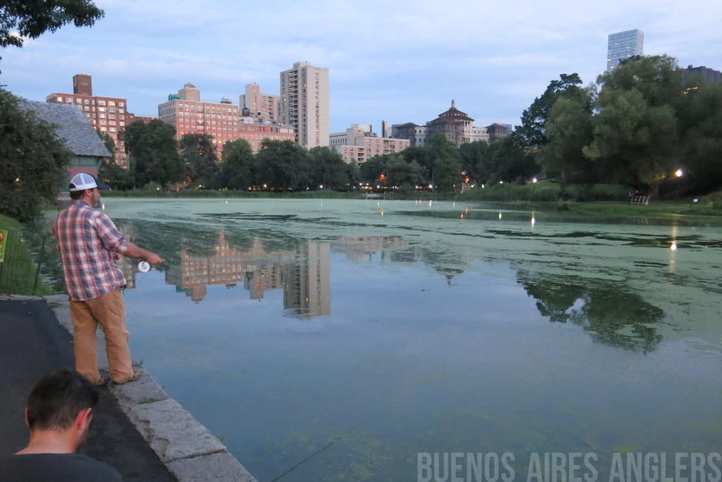 Buenos Aires Anglers