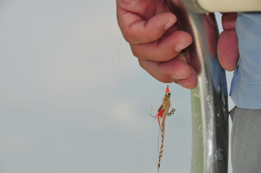 Buenos Aires Anglers