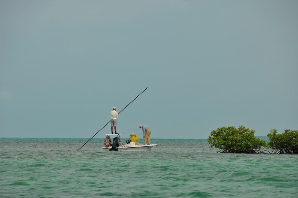 Buenos Aires Anglers