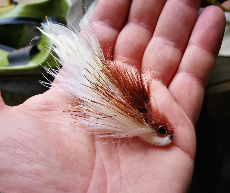 Buenos Aires Anglers