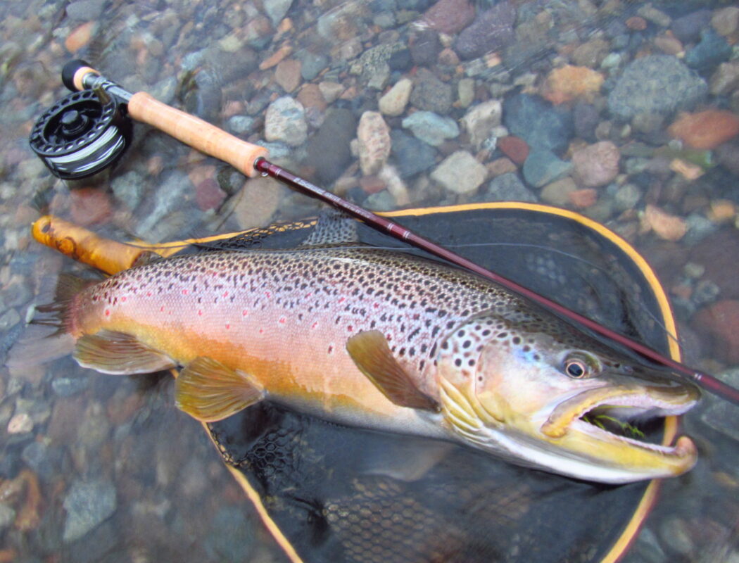Buenos Aires Anglers